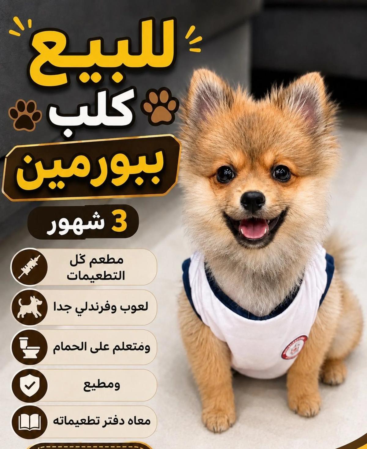 ببورمين لعوب وحنون