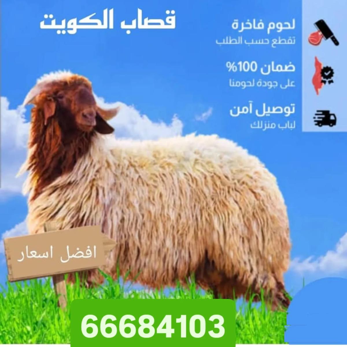 قصاب تحت الطلب جميع المناطق الكويت