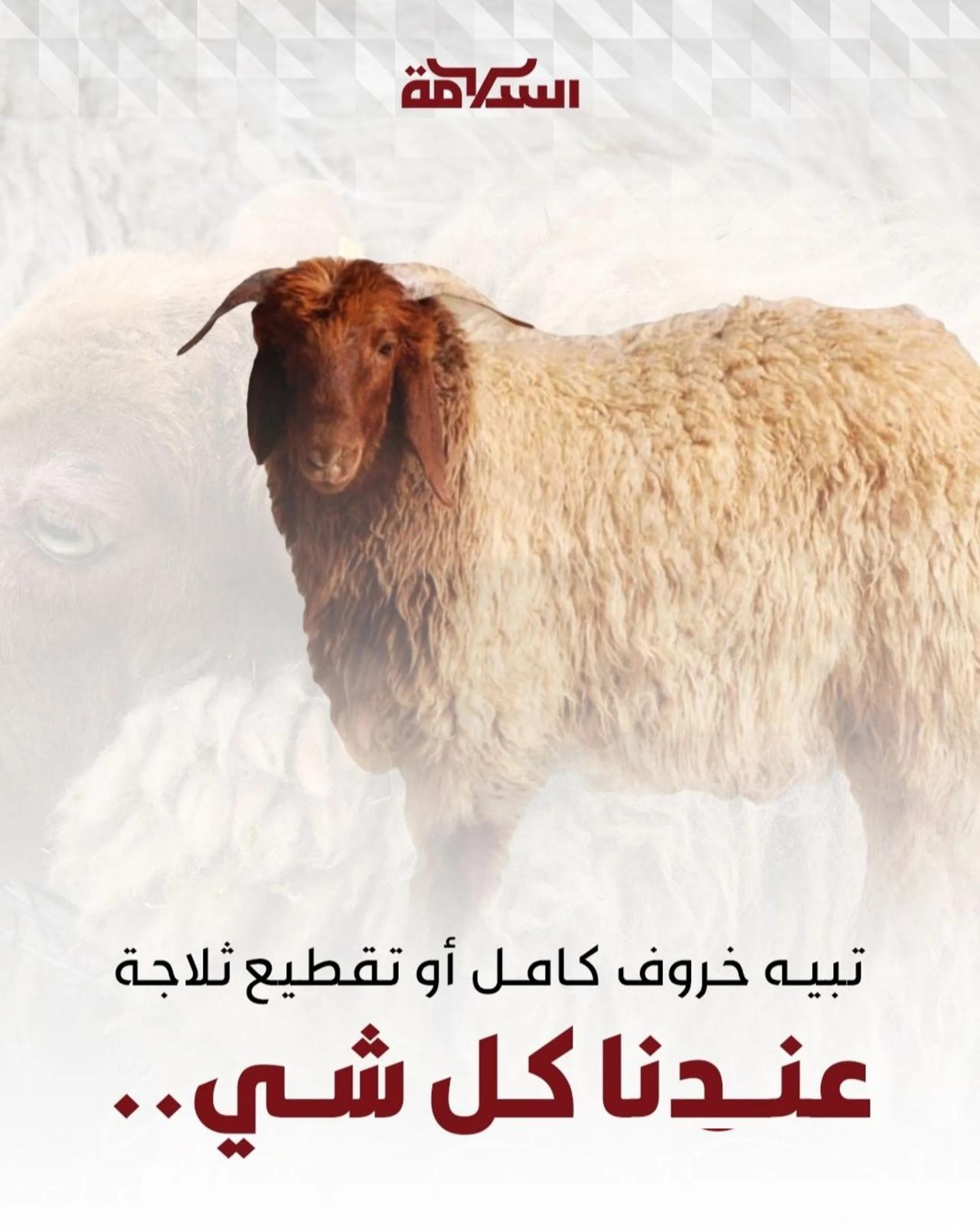 ذبايح السلامة